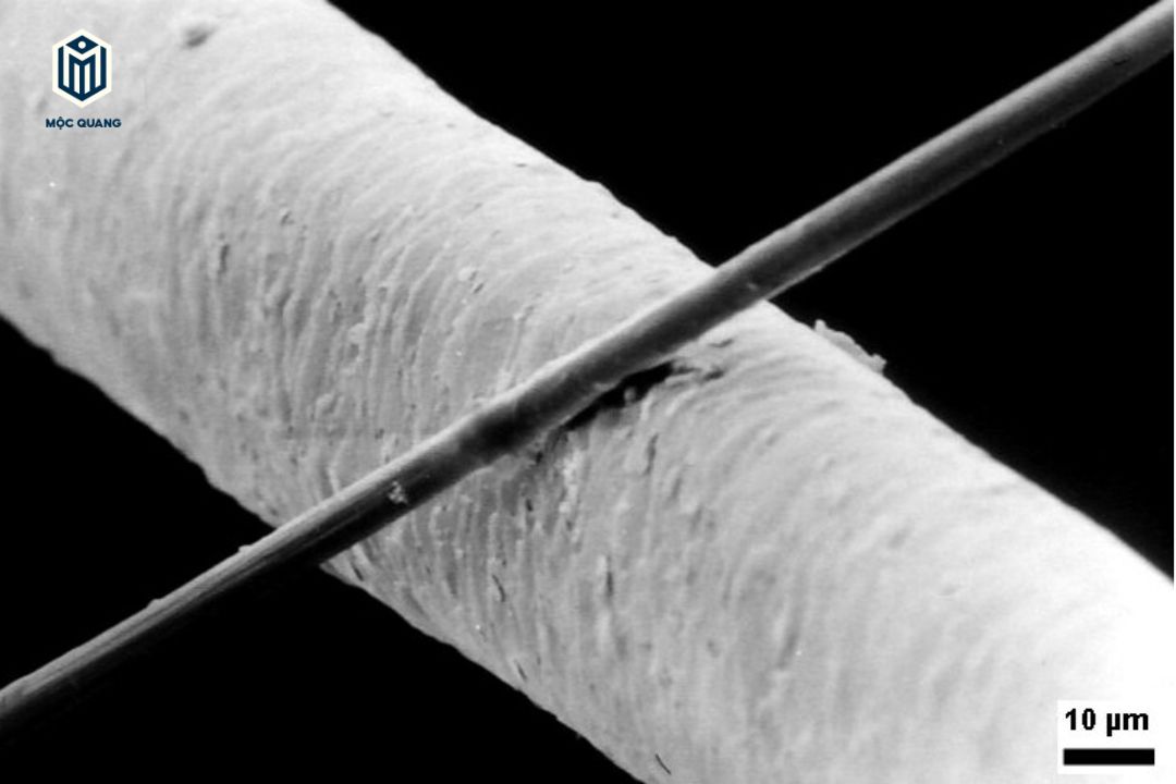 soi-carbon-so-voi-soi-toc